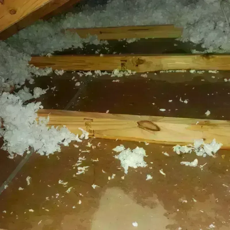 Attic Water Damage in Livingston, TX