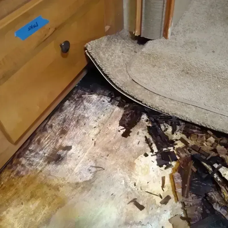 Wood Floor Water Damage in Livingston, TX